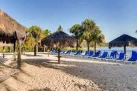 2a029653 a4d6 4bf0 b51d c0ff03a60c01