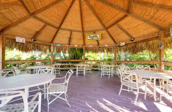 50d9ac9a fc28 4859 a5aa 00d45468c88a