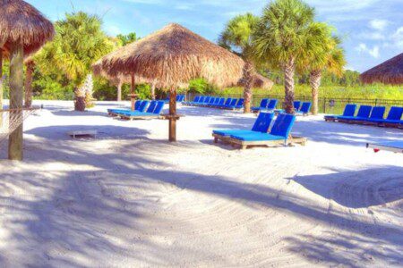 94d80f80 5961 4c50 a448 33f12c8153ff