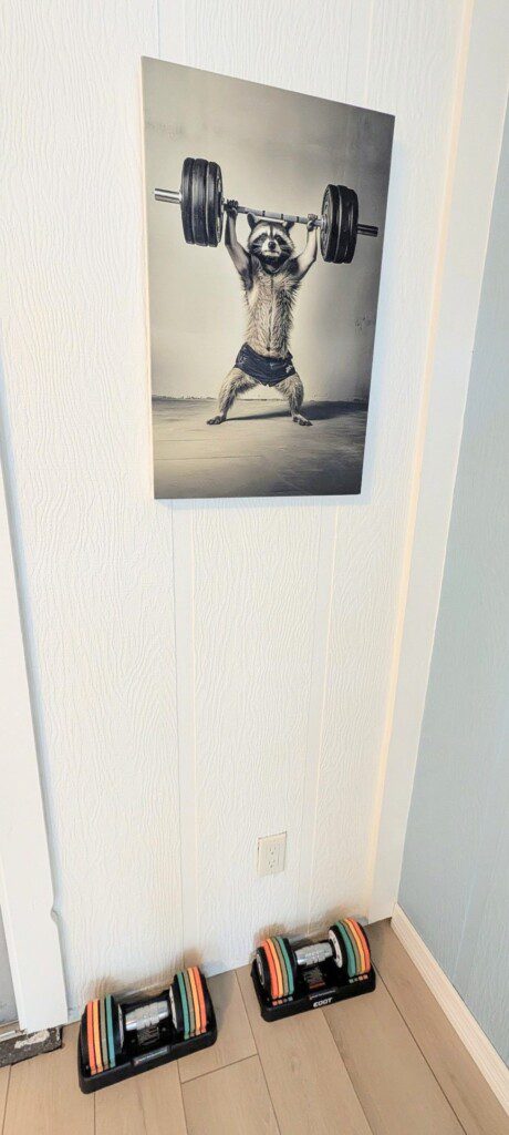 a1e73e46 d934 495f 9fbd e0c86fe5e394