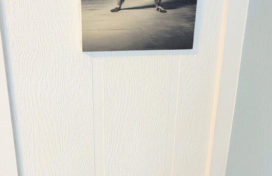 a1e73e46 d934 495f 9fbd e0c86fe5e394