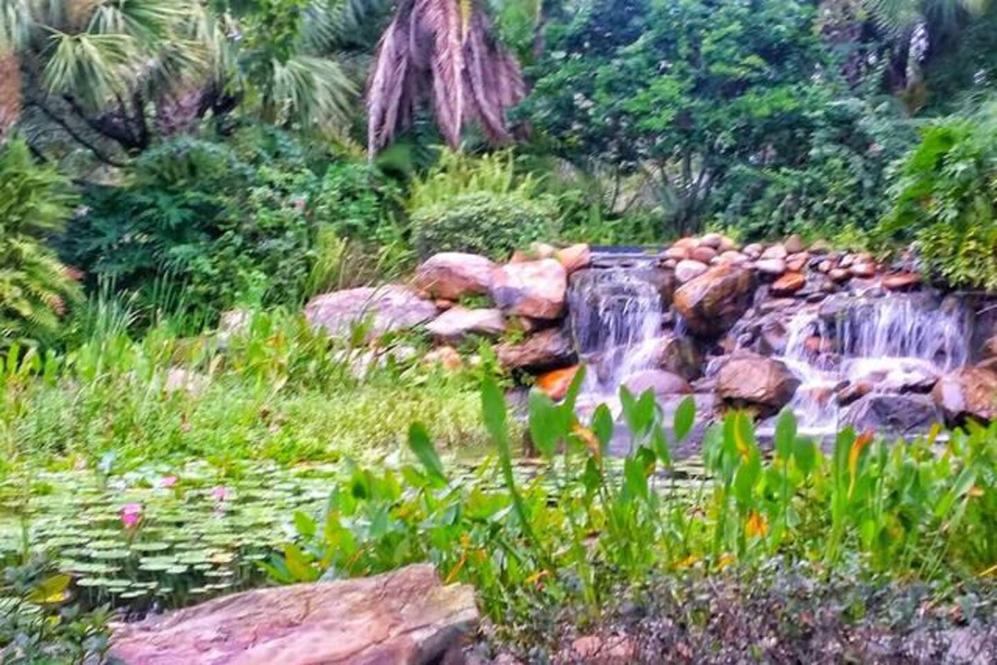 bef35d6e ca14 43d5 b56f c049a64343cd